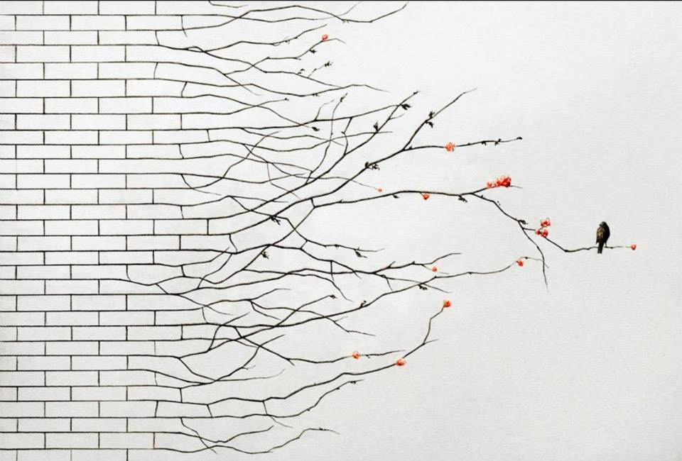 Atelier : Diversité et Posture NonViolente