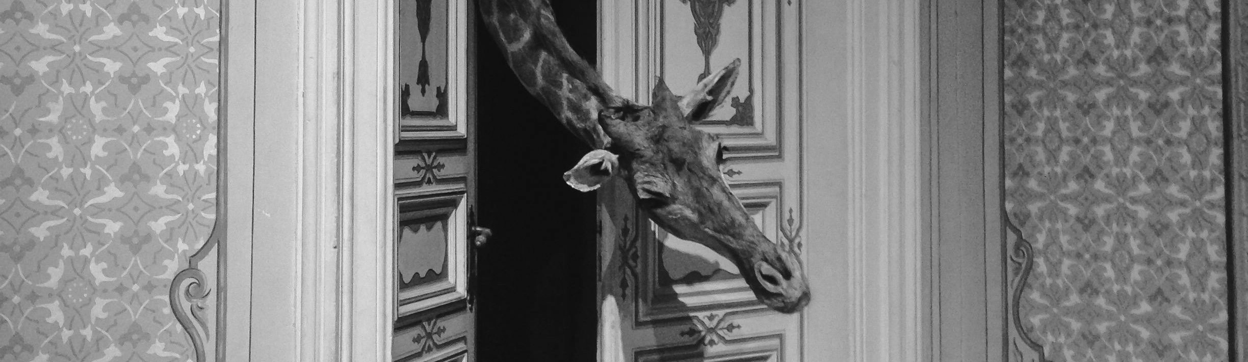 15/01 – Rencontre : Bases de la CNV
